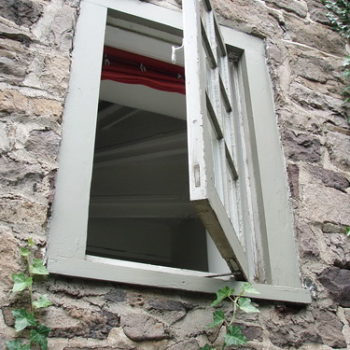 5 ways to improve the air quality in your home