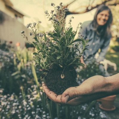 reasons to start gardening now