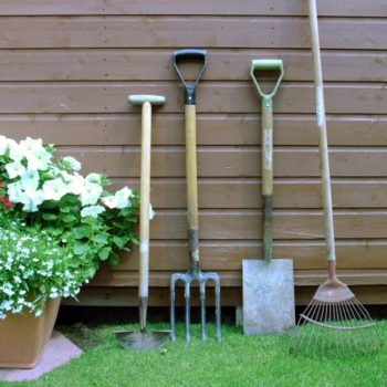 3 helpful tools to use when you have a large garden area