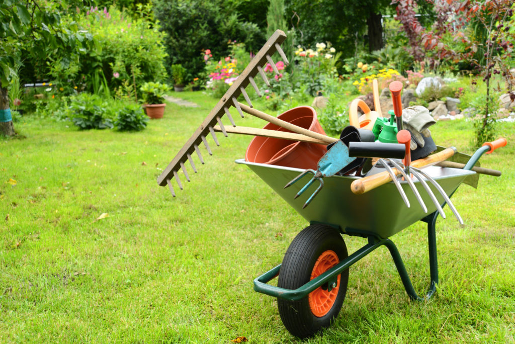 Garten 110 taking a look at the top gardening products on the market in 2019