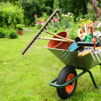 taking a look at the top gardening products on the market in 2019