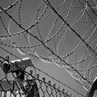 Grayscale Photo of Barbed Wire