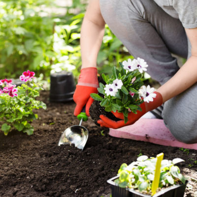 the essential gardening tools youll need to this summer
