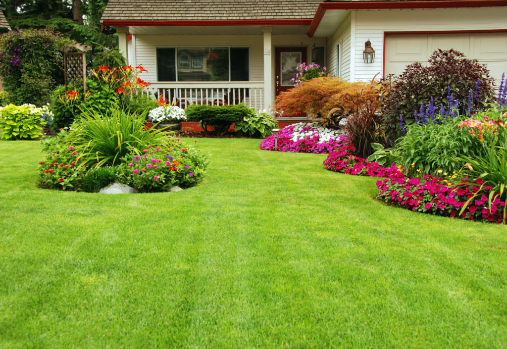 5 landscaping tips to get a beautiful lawn
