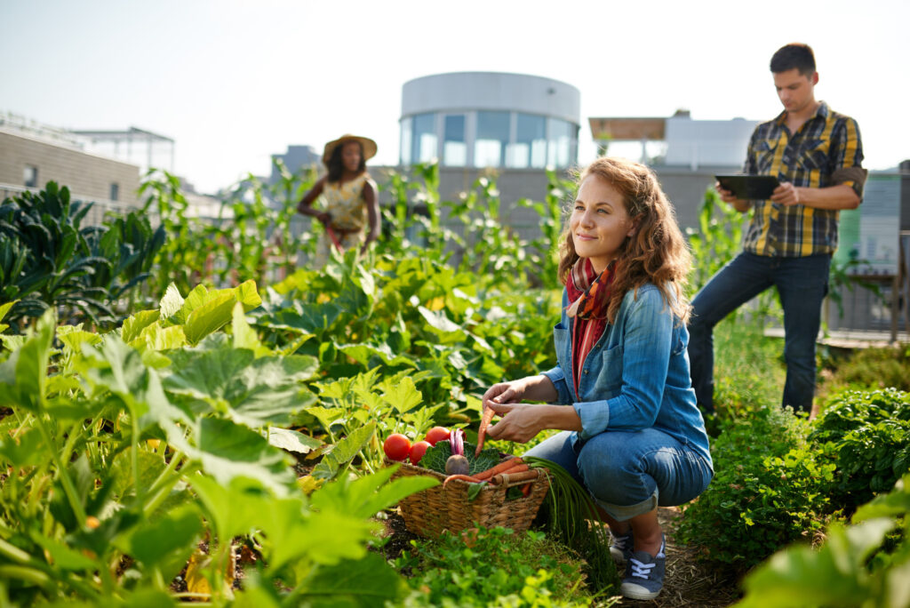 Friendly Team Harvesting Fresh Vegetables from the Rooftop Greenhouse Garden and Planning Harvest Season on a Digital Tablet these are the different types of gardens for homes