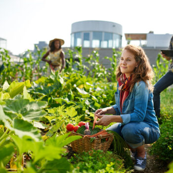 these are the different types of gardens for homes