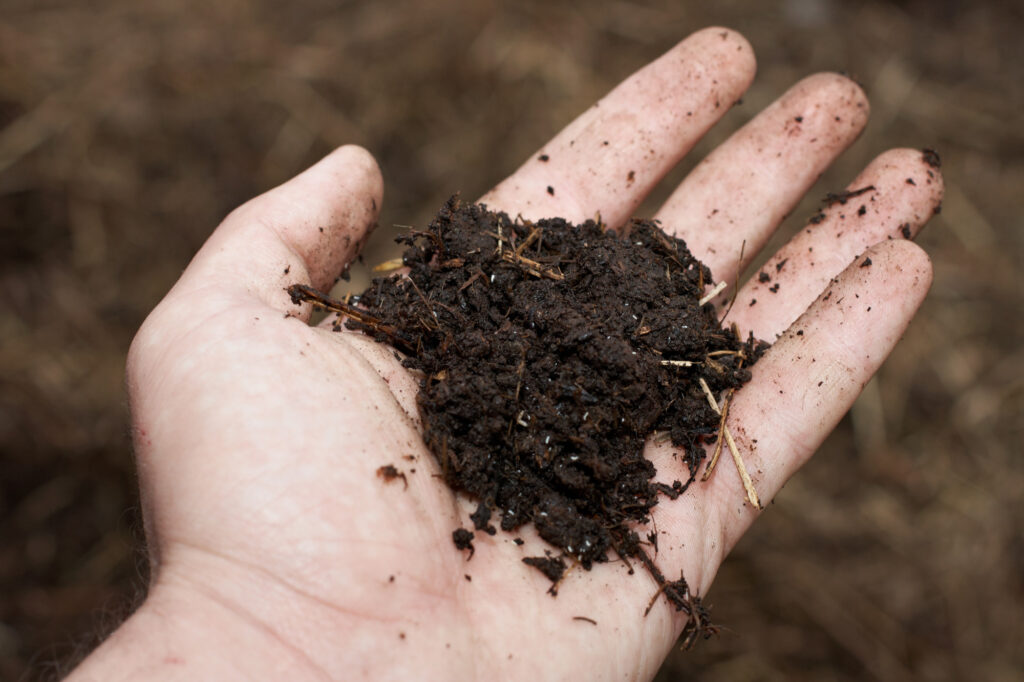 Organic Fertilizer gloom and bloom how fertilizer runoff leads to algal blooms