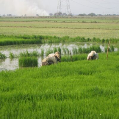 Water portal 624x468 jpg quick tips on how to protect your crops