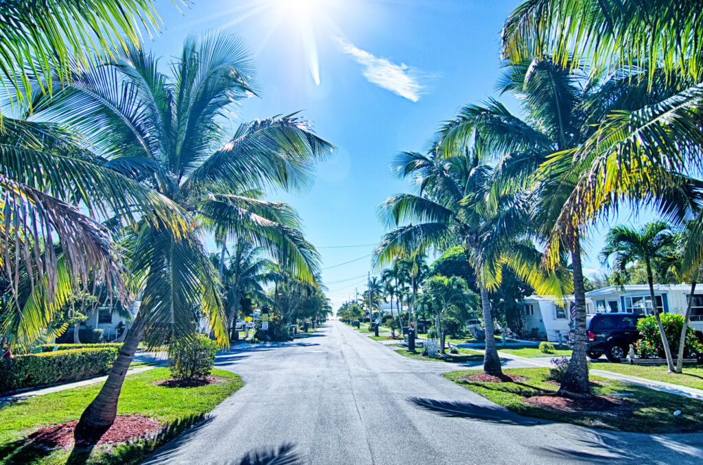 Way to the Beach with Palm Trees in Key West Florida what you should know before moving to florida