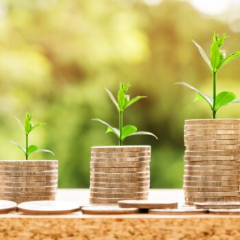 3 tactical ways to increase revenue at your small business