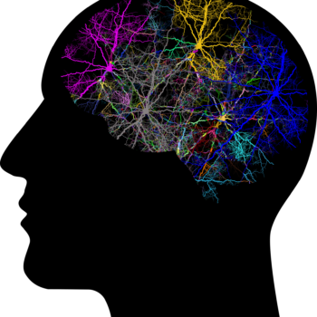 thc and serotonin whats the connection