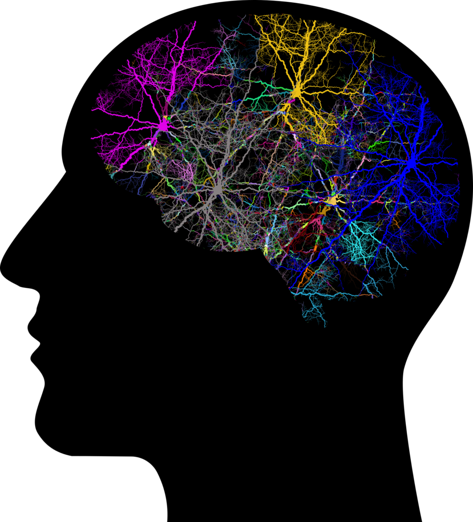 thc and serotonin whats the connection