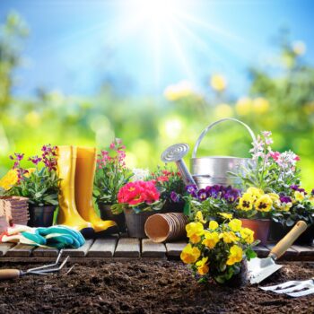 top tips for making the most of a family garden