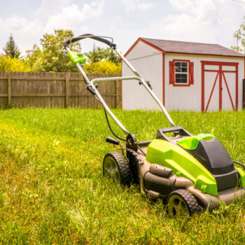 5 reasons you should hire a lawn care pro