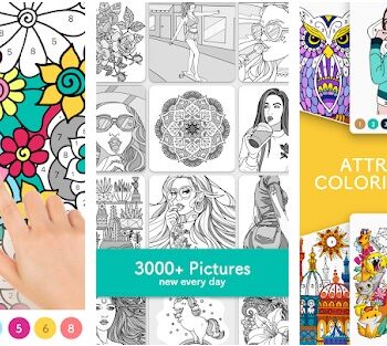 five characteristics your color by number game app must have