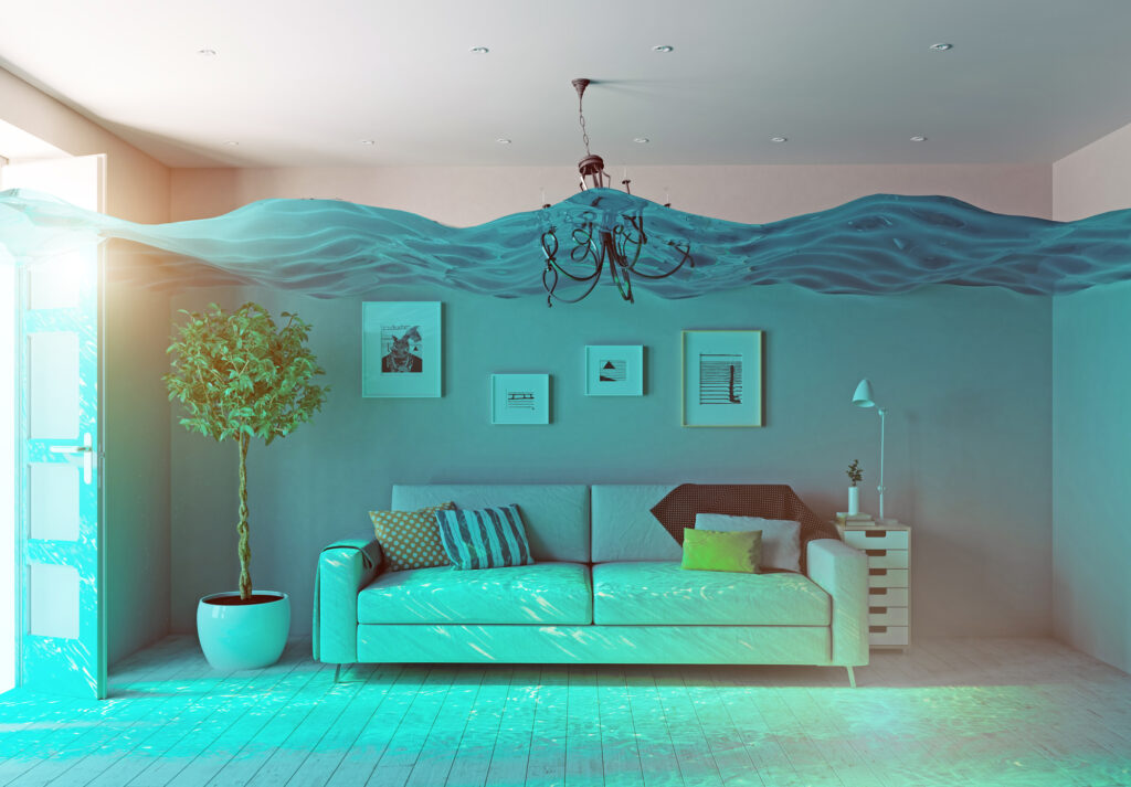 what to know before buying a home in a flood zone
