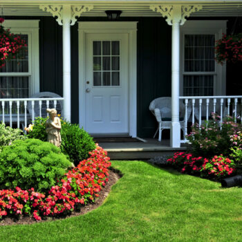 the best foundation plants for creating mega curb appeal