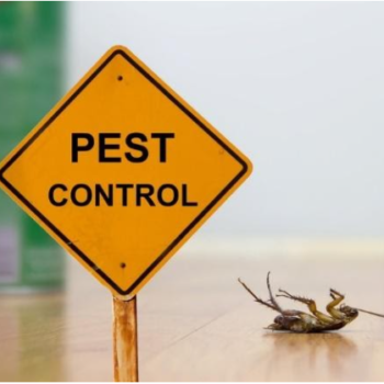 what factors drive the choice of the best pest control in lubbock for a residential property