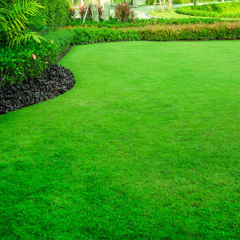 how to get a green lawn 5 ways to really get greener grass on the other side
