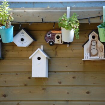 Load image 12 top 7 reasons why you should get a birdhouse