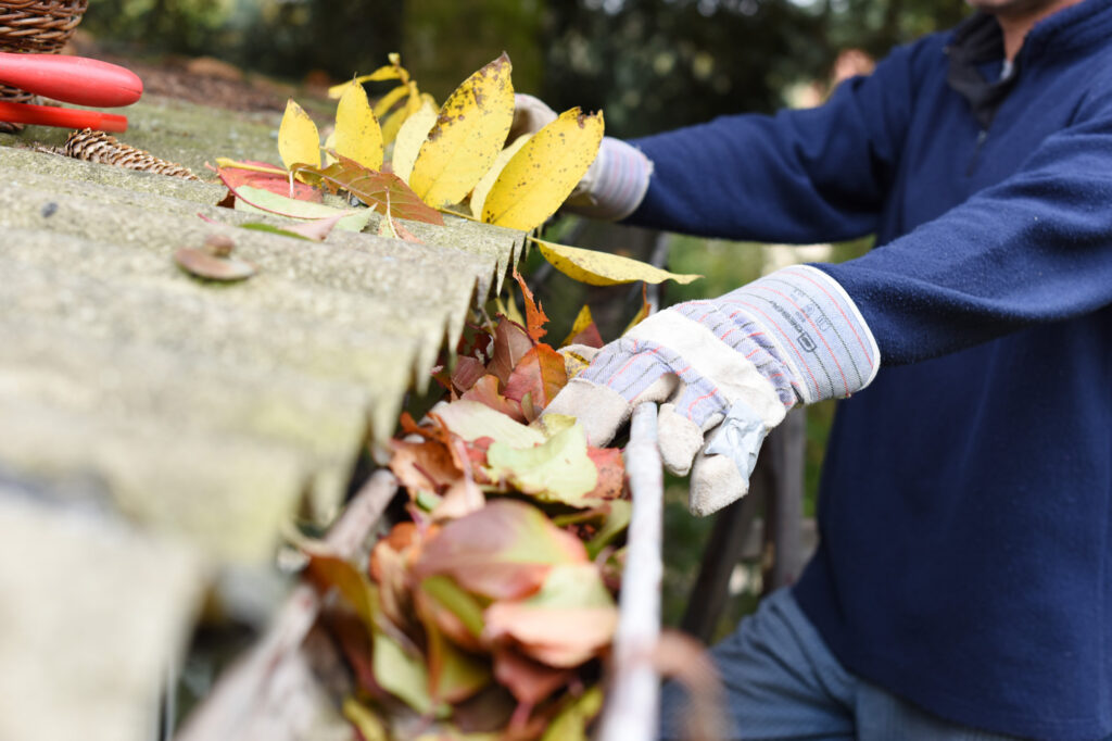 what to look for when choosing gutter cleaning companies 5 tips