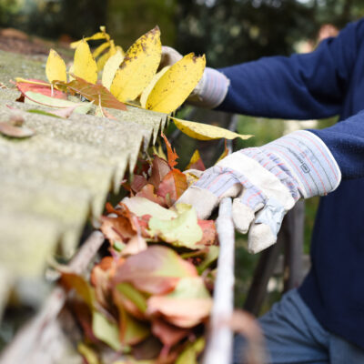 what to look for when choosing gutter cleaning companies 5 tips
