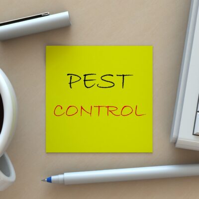 natural  organic pest control thats safe for your pets