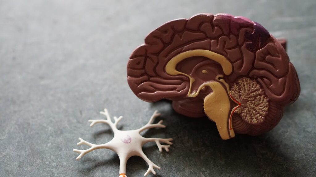 what are the early signs of alzheimers disease