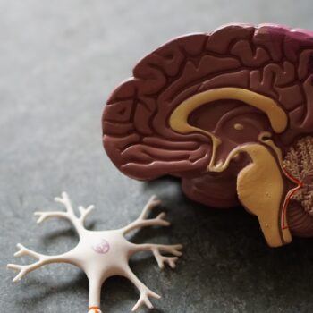 what are the early signs of alzheimers disease