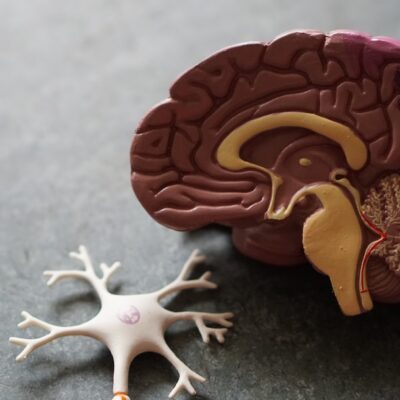 Load image 2022 02 11t205240729 what are the early signs of alzheimers disease