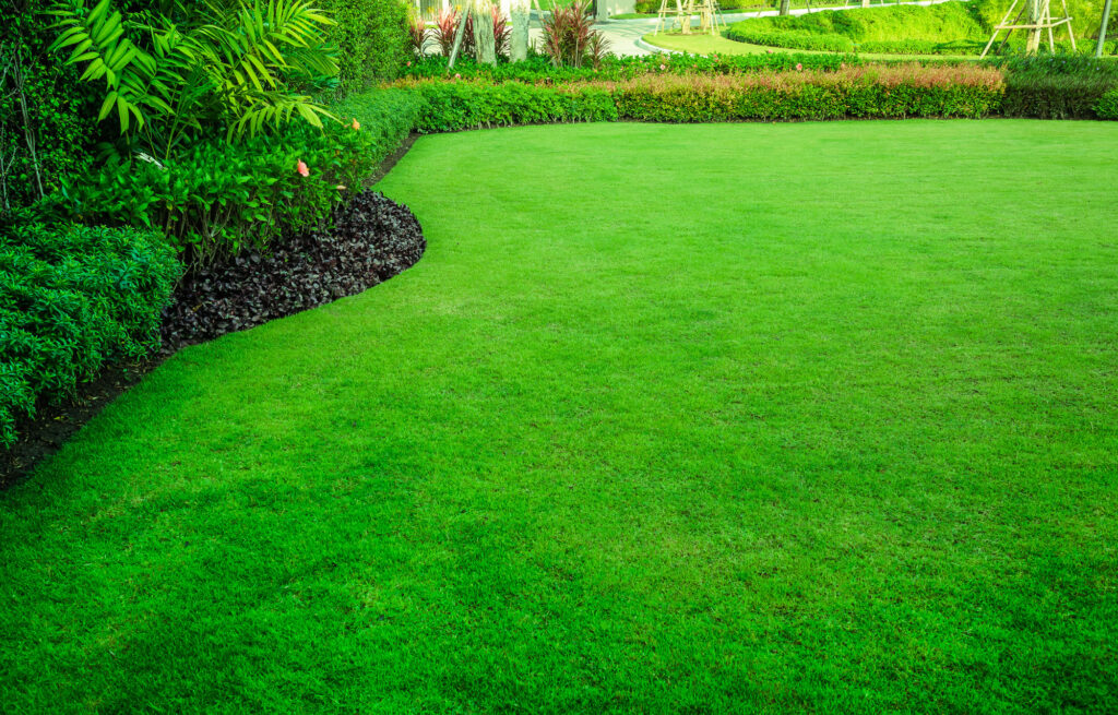 how to fertilize a lawn a guide for homeowners