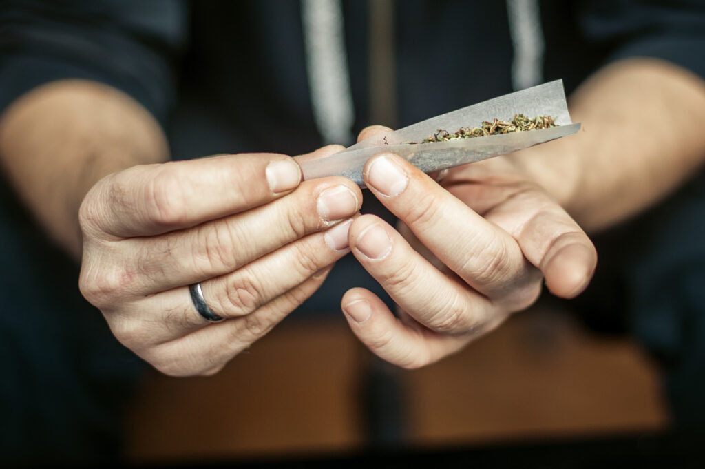 Preparing and Rolling Marijuana Cannabis Joint Drugs Narcotic Concept the brief guide that makes joint rolling a simple process
