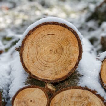 a simple guide to starting a logging business