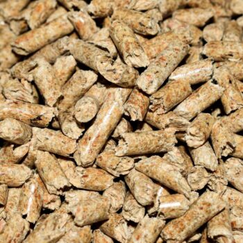 the pros and cons of pellet stoves