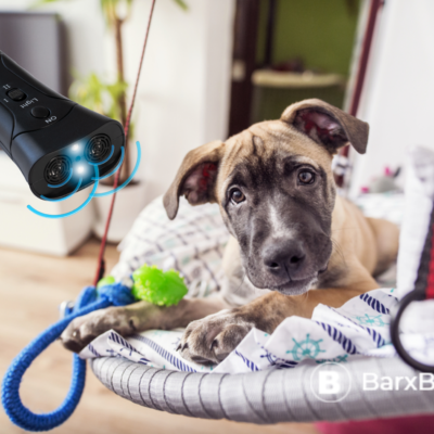 Training your dog using the barxbuddy training dev review why the barxbuddy training device is our favorite dog training gadget 2022 update
