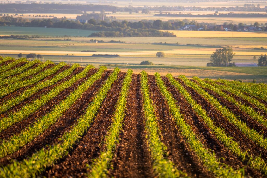 high tech and sustainable the latest farm machinery trends