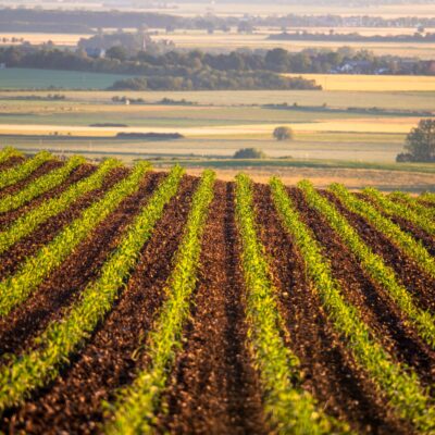 high tech and sustainable the latest farm machinery trends