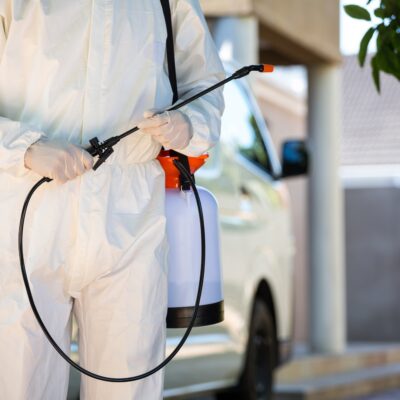 4 telltale signs you need to call your local pest control service