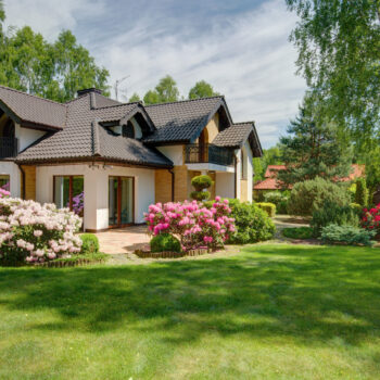 7 questions to ask the best landscaping company before hiring them