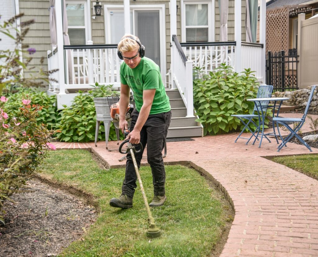 diy lawn care vs professional services which is better
