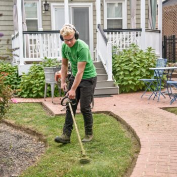 diy lawn care vs professional services which is better