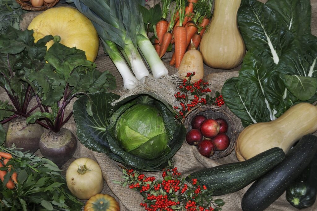 Load image 52 the top tips for planting vegetables