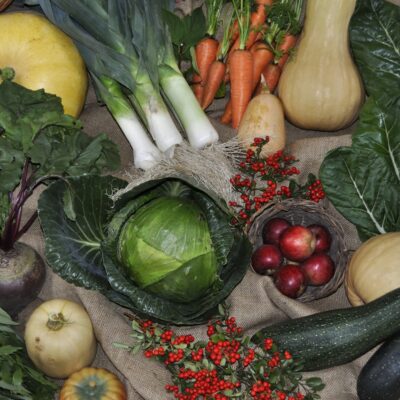Load image 52 the top tips for planting vegetables
