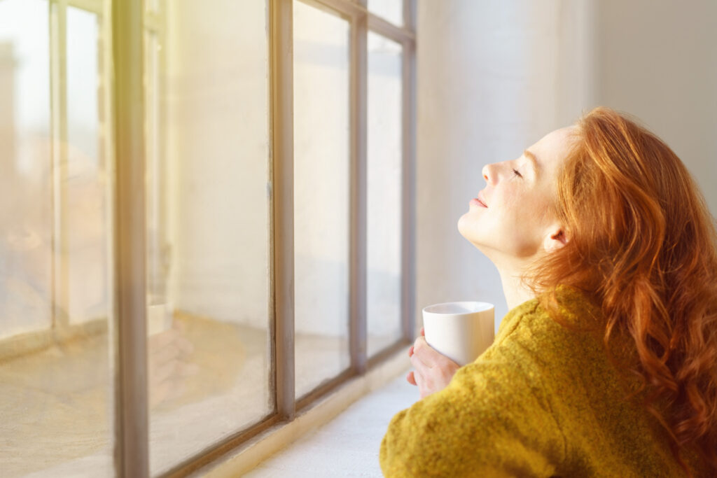 the main types of replacement windows for your home