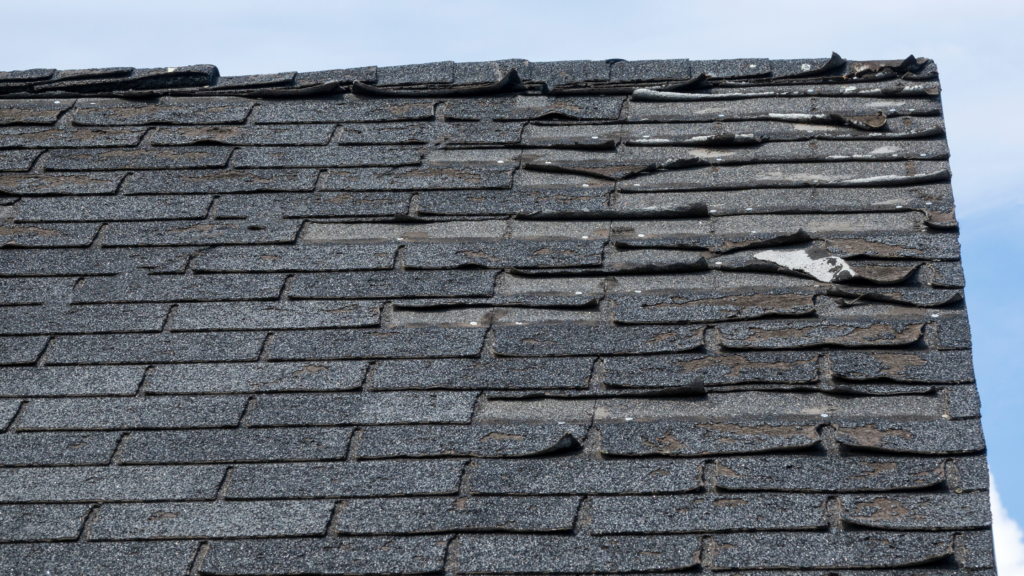 is my roof at risk of leaking and what should i do