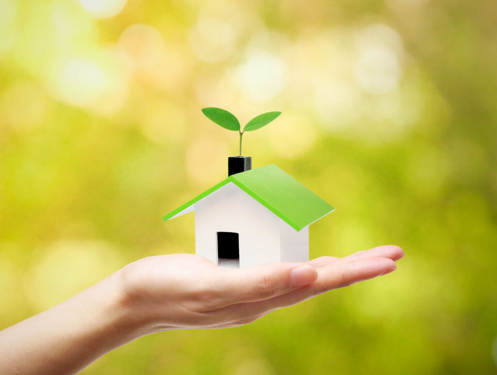Hand Holding a Small Green House with a Young Green Plant Growing on the Roof Ecohouse Concept 8 eco friendly home ideas for maximum savings