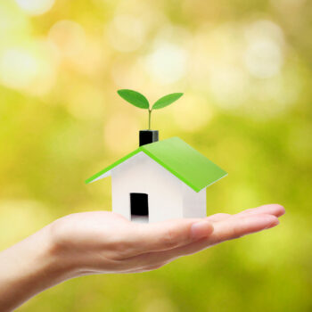 8 eco friendly home ideas for maximum savings