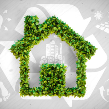 7 eco friendly solutions for conscious homeowners