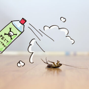 3 reasons to hire a commercial pest control company