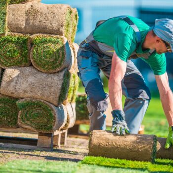 how to grow your landscaping business
